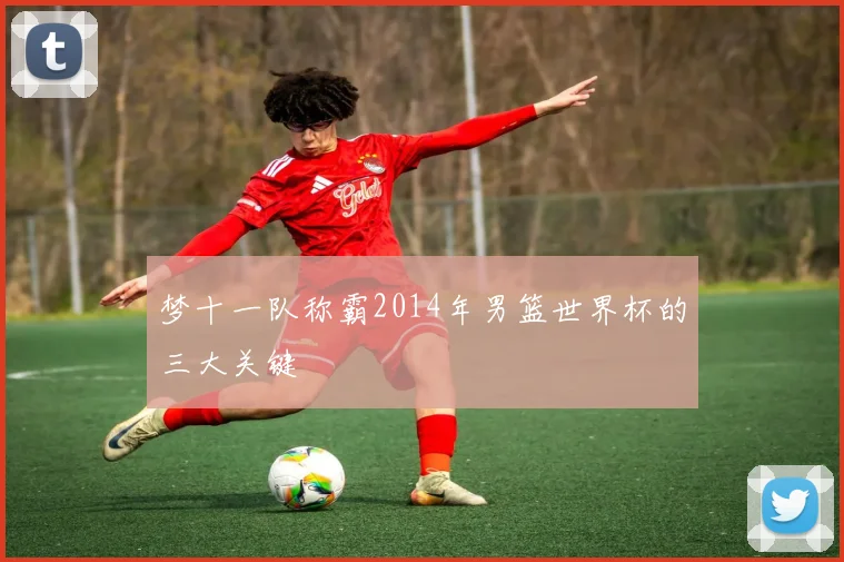 梦十一队称霸2014年男篮世界杯的三大关键