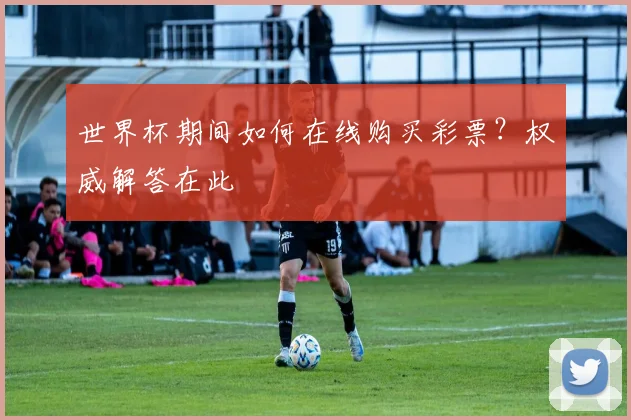 世界杯期间如何在线购买彩票？权威解答在此
