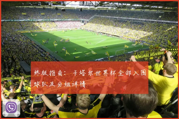 终极指南:卡塔尔世界杯全部入围球队及分组详情