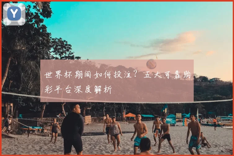 世界杯期间如何投注？五大可靠购彩平台深度解析