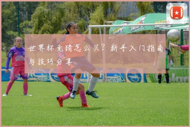 世界杯竞猜怎么买？新手入门指南与技巧分享