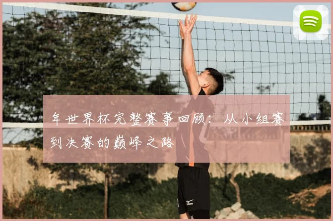 年世界杯完整赛事回顾:从小组赛到决赛的巅峰之路