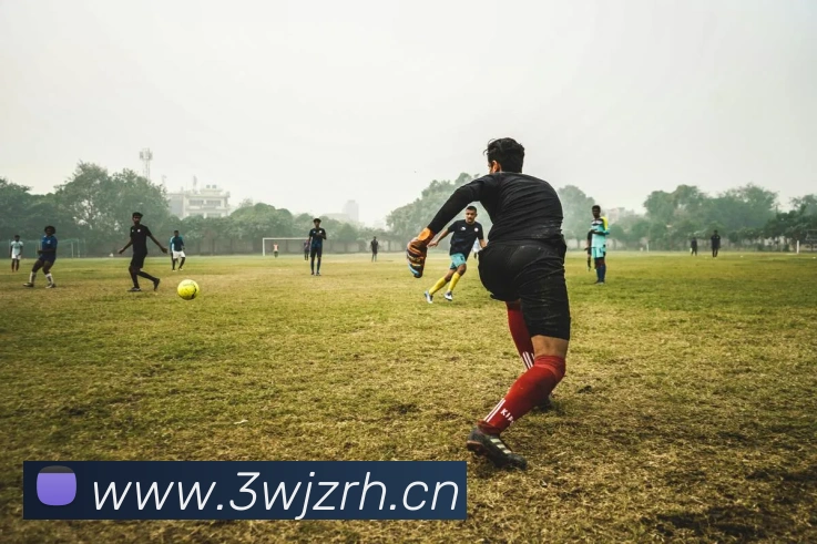 App Interface Preview