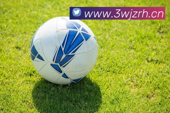 星空官方体育入口APP 封面图